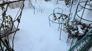 Зимний садик 17 января 26г❄️❄️❄️