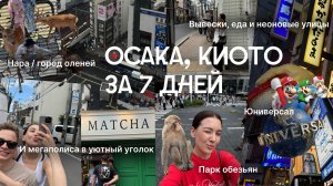 НА ВСЕ ДЕНЬГИ В ЯПОНИЮ: Осака, Киото, парк Юниверсал, город оленей