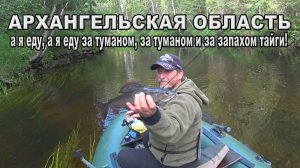 Архангельская область. А я еду, а я еду, за туманом, за туманом и за запахом тайги!