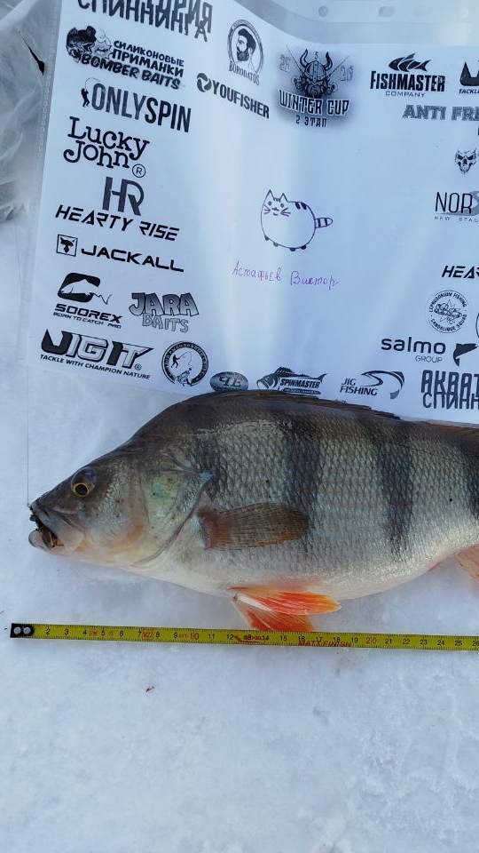 -20 мороза 25 ОКУНЕЙ поймал) соревнования Винтер кап ⚡ смотреть онлайн