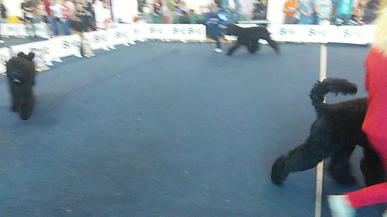 VID 20180819 154351 смотреть онлайн