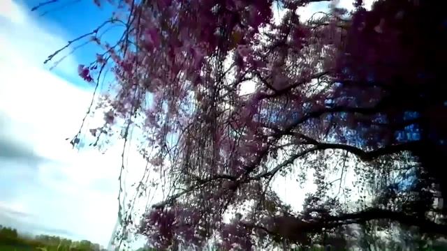 МОЛОДОСТЬ смотреть онлайн