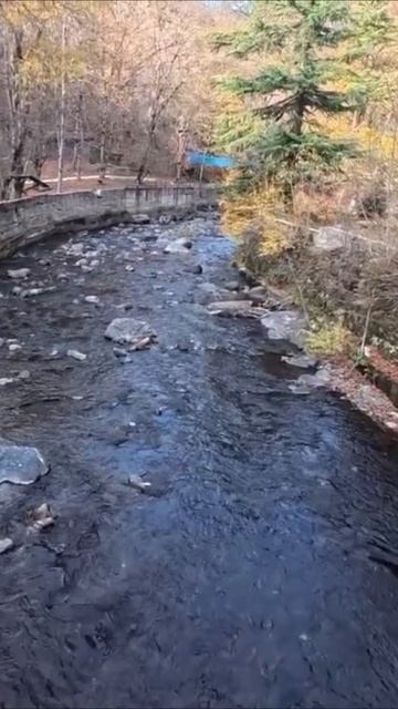 Колыбельная про Серафима Саровского (1)