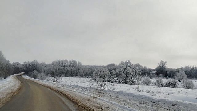Любуемся красотой,друзья.Видео-ловушка😉
