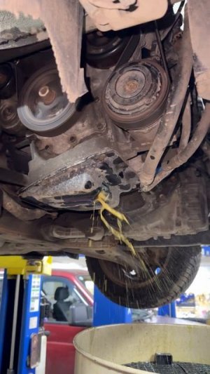 Экспресс замена масла не глуша двигатель