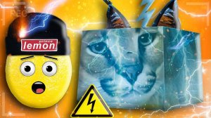 НАШЕЛ ЭЛЕКТРО ШЛЕПУ ЗАРЯДКА 100% В РОБЛОКС! НУБАСТЕР