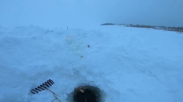 Ловля налима на Енисее. Проверка трёх перемётов.