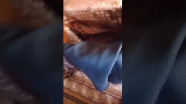 назлоооо смотреть онлайн