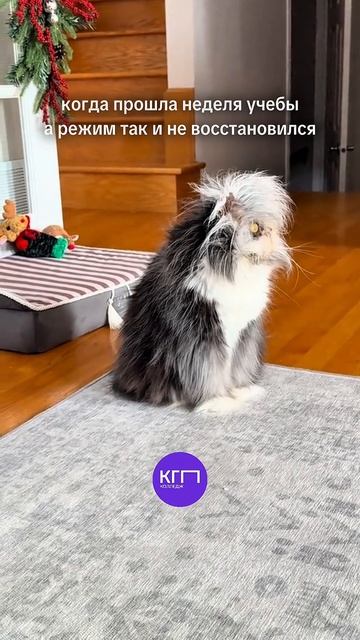 Как вы? Уже вошли в режим?