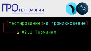 Pentest 2.1 Терминал