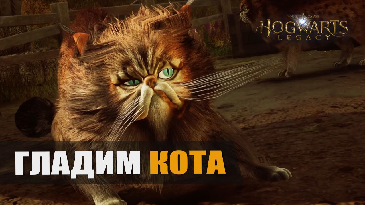 ГЛАДИМ КОТА — Hogwarts Legacy [#10]