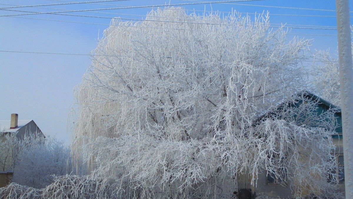 Крещенская ночь на Ставрополье ожидается снежной и морозной смотреть онлайн