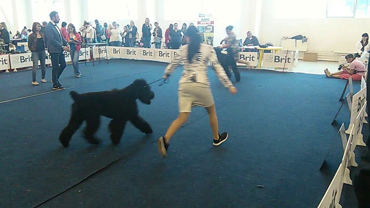 VID 20180819 153041