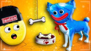 СОБАКА ХАГИ ВАГИ ЕГО ПОЙМАЛИ! СЕКРЕТ КИСИ МИСИ POPPY PLAYTIME