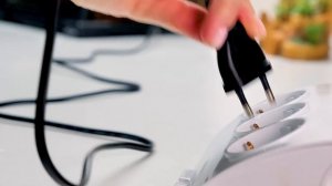 🖼 Гигантская улитка переезжает в потрясающий дом! Кто станет соседом Гэри?