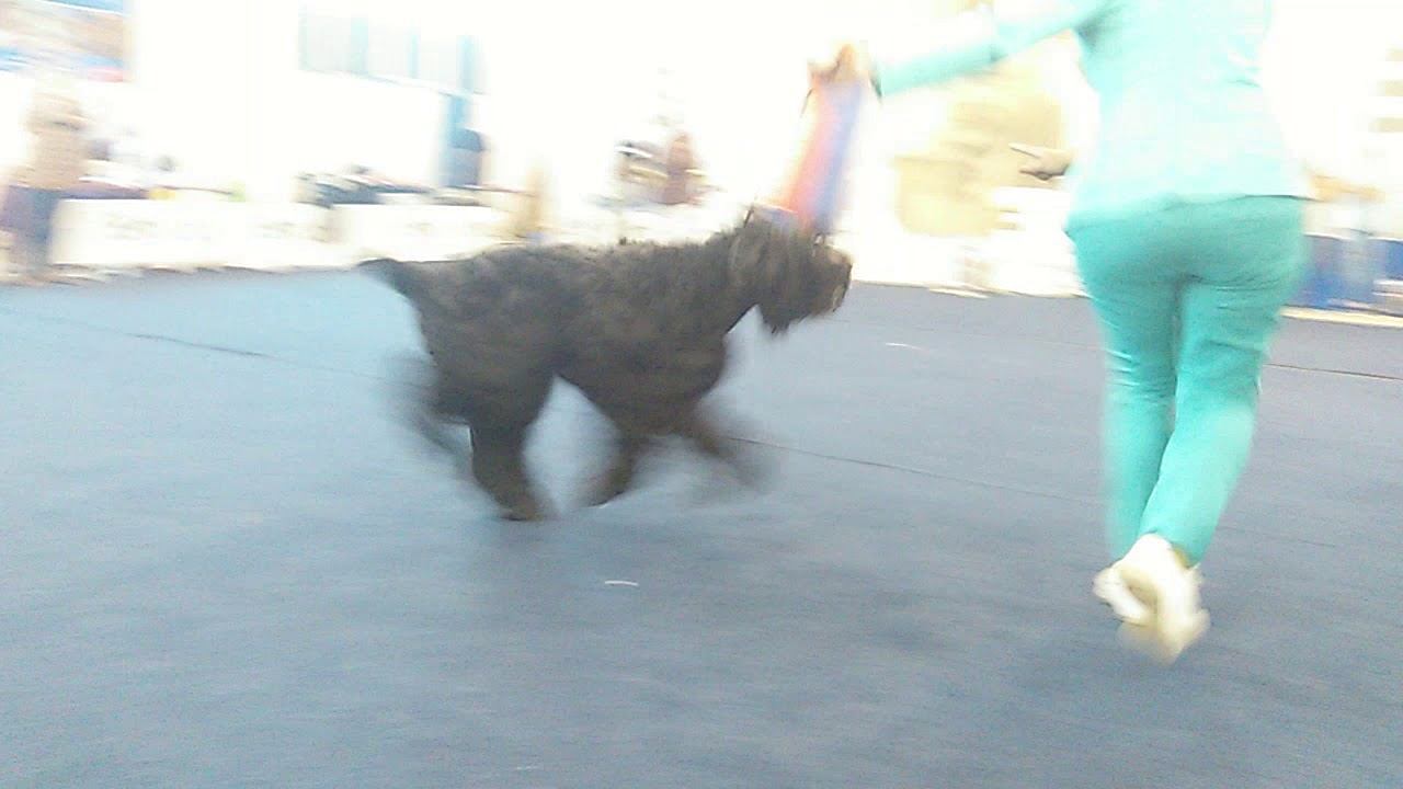 VID 20180819 173802