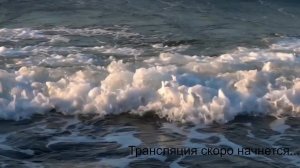 Турнир между ООО "Винета" и ООО "РеилФлагманЛогистик"