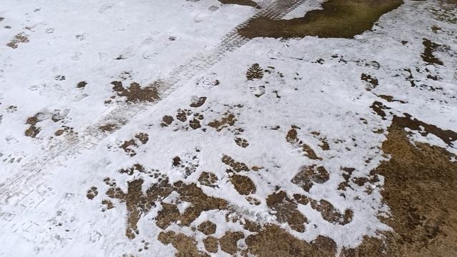 Малыш пришёл в гости смотреть онлайн