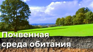 Почвенная среда обитания. 5 класс.