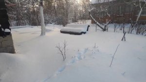 79-моя Дача в декабре.. 😁(05.12.21)