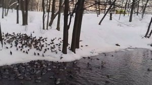 На районе