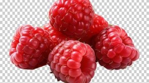 скамом людей в adopt me