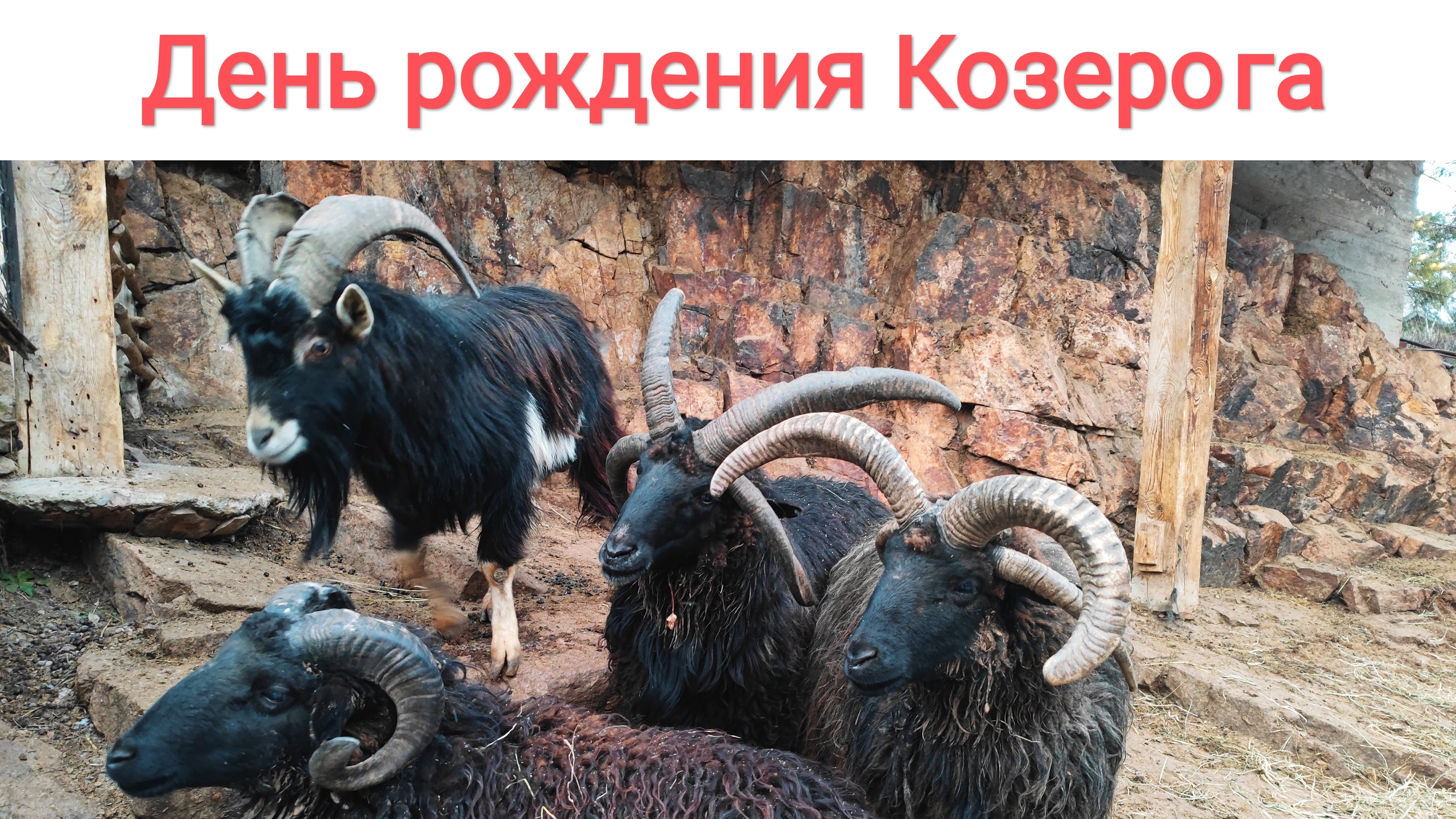 День 4-ый: Возвращаемся из Домбая и День рождения Козерога смотреть онлайн