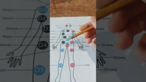 САМЫЙ МОЩНЫЙ ВЕБИНАР НА ТЕМУ ВОЗНИКНОВЕНИЯ ВОСПАЛИТЕЛЬНЫХ ЗАБОЛЕВАНИЙ КИШЕЧНИКА. ЯЗВЕННЫЙ КОЛИТ.