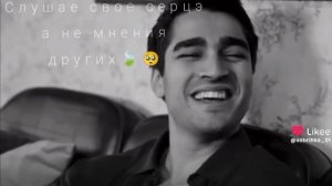 🍃зимародак   тирт дума тути🍃