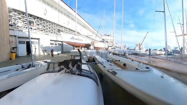 Зимние старты 2026