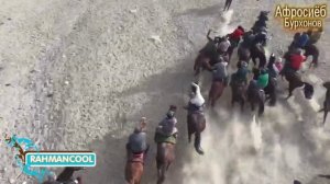 Афросиёб-1 Автомобил, 4 пар наъл, 500 сомони.