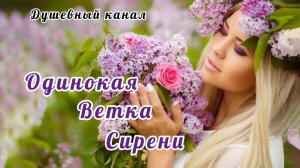ОДИНОКАЯ ВЕТКА СИРЕНИ