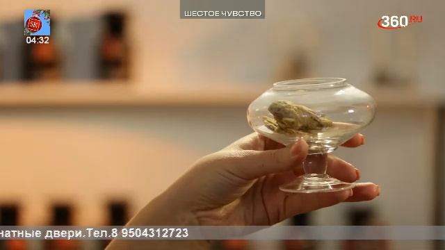 LIVE: Пятый Канский (5К) смотреть онлайн
