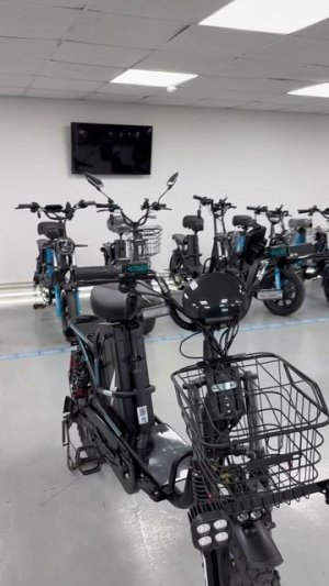 Какой электровелосипед Minako выбрать: Monster Pro или Titan 2.0?