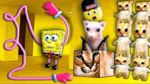 КОТЫ В ЗАКУЛИСЬЕ ПРОТИВ СПАНЧ БОБА ДЛИННЫЕ РУКИ В ГАРРИС МОД! НУБАСТЕР