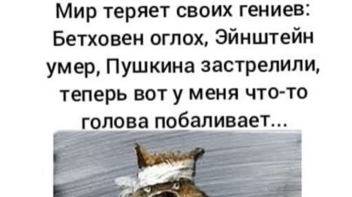 Я просто Гений, с результатом 15-0