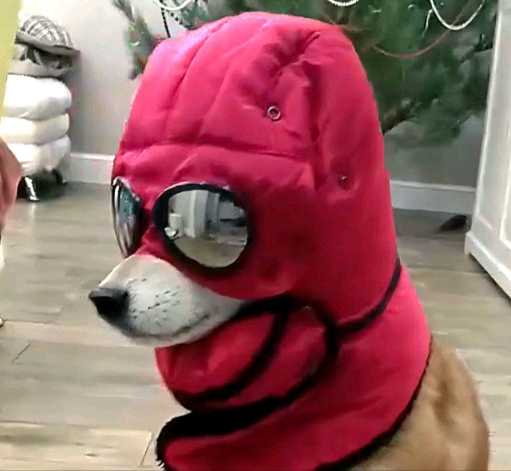 халф лайф