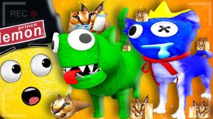 КОТ И ПЁС РАДУЖНЫЕ ДРУЗЬЯ ПОТЕРЯЛИСЬ НАШЕЛ ШЛЕПУ! Нубастер