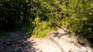 Из Архипо - Осиповки в Бетту по горам пешком 2025.