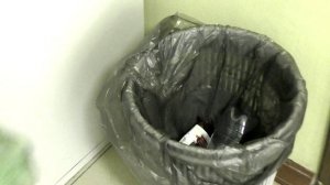 Гимназия № 33_ на конкурс Экорепортер_2025