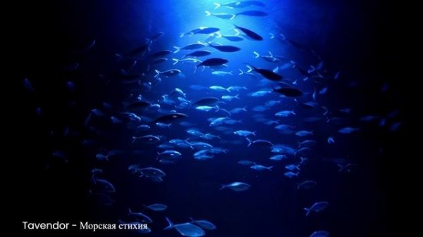 Tavendor - Морская стихия. Атмосферная музыка. Дип Хаус.