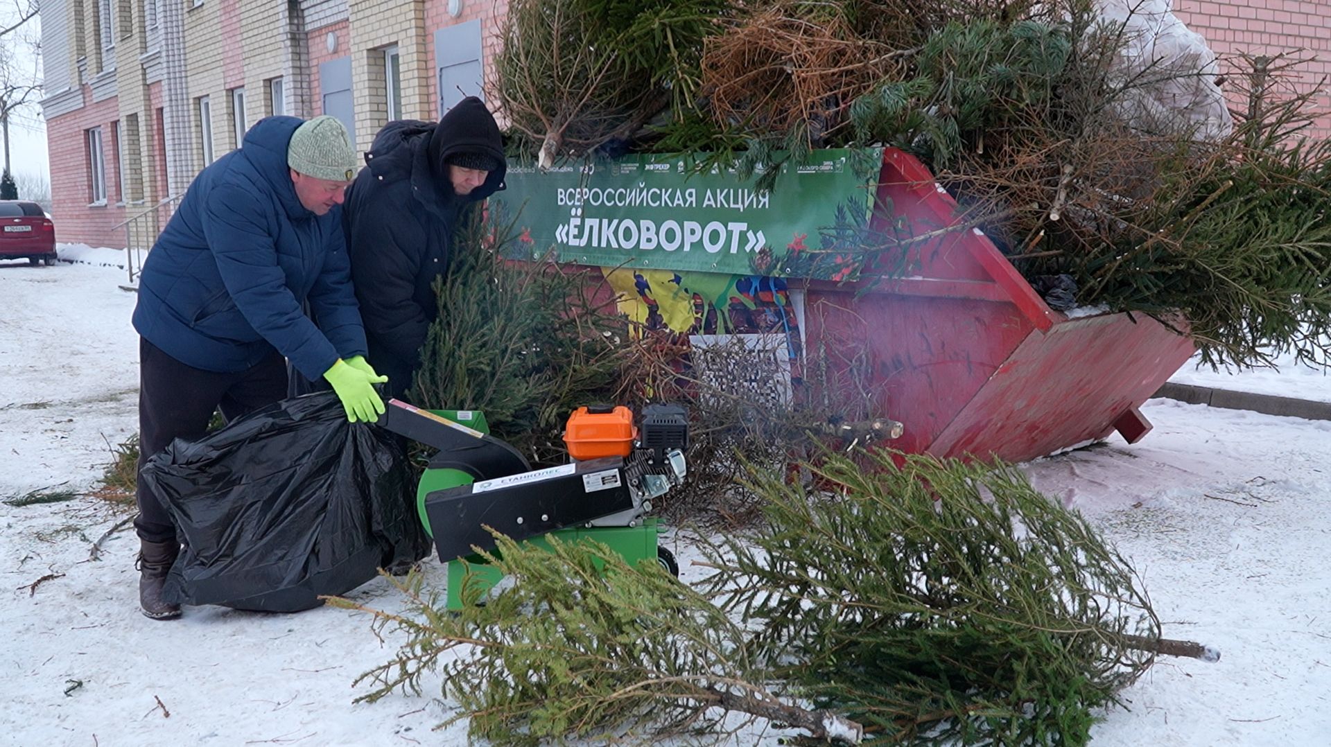 Переработка новогодних елок смотреть онлайн