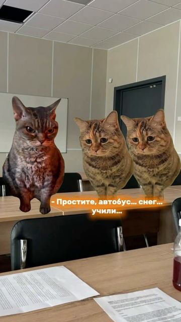 Когда с другом опаздываете на экзамен