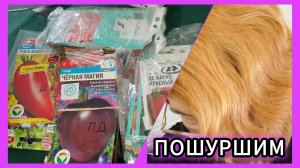 Записки огородника и семена томатов прошлого 2025 года. Част 1