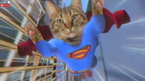 ИСТОРИЯ ПРО ЯКОТГОЛОВЫЙ СИРЕНОГОЛОВЫЙ