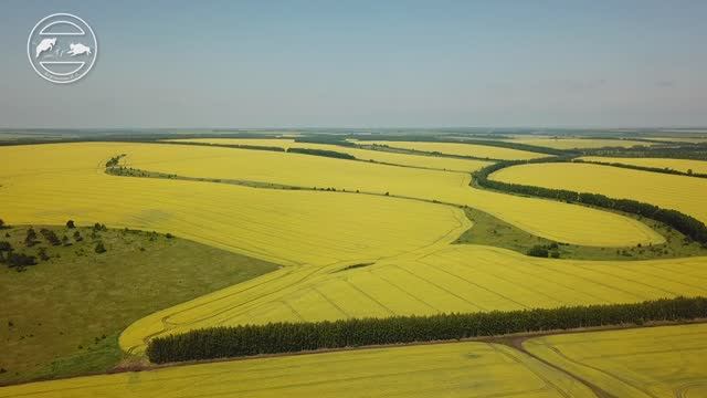 Пещеры Липецкой области. Глава1. Вступление