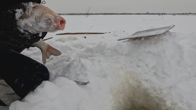 Проверка удочек. 41 день. смотреть онлайн