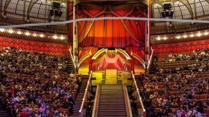 Давайте коллабик?)))