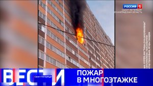 Вести Санкт-Петербург. Выпуск 20.50 от 17.01.2026