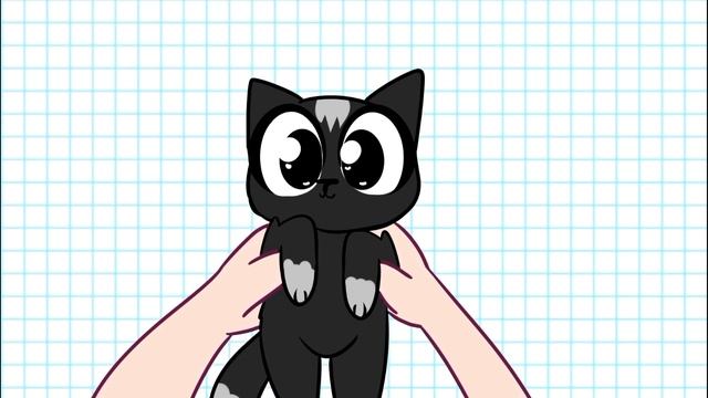 Тедди объясняет о своих котов